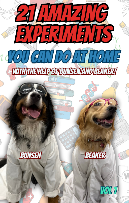 The Bunsen And Beaker Science Experiment Book (Australia and Other)