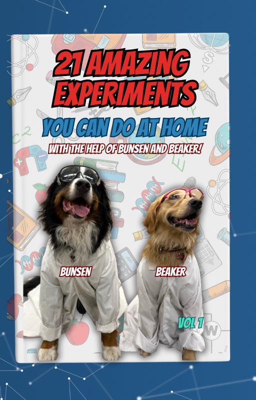 Do Science with Ginger! (Stuffie and Experiment book!)