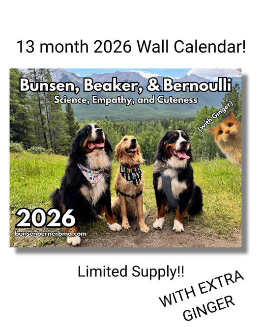 2026 Wall Calendar - READY TO SHIP!