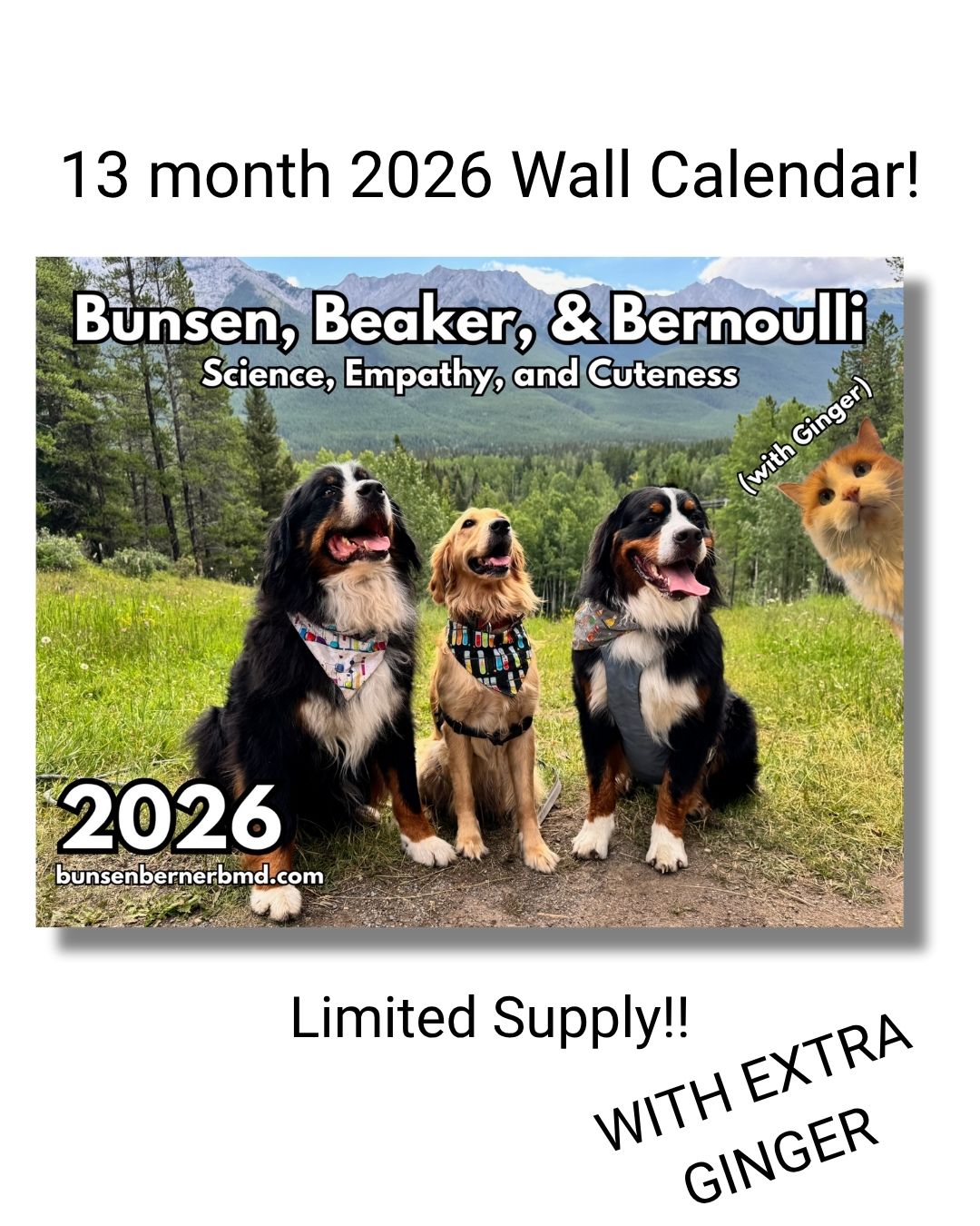 2026 Wall Calendar 3 Pack (get 1 50% off!)