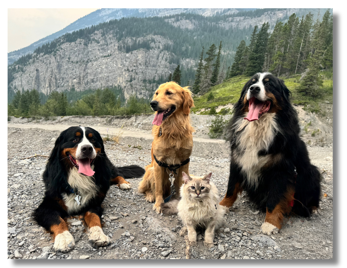 PRESALE: 2027 Bunsen, Beaker, Bernoulli, and Brix (with Ginger) 13 Month Wall Calendar