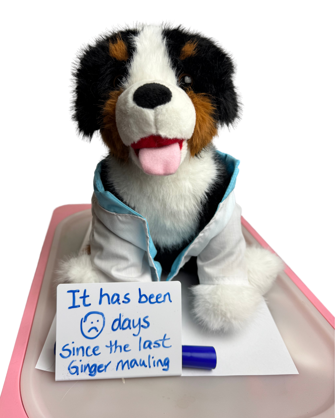 The Bernoulli Stuffie Presale