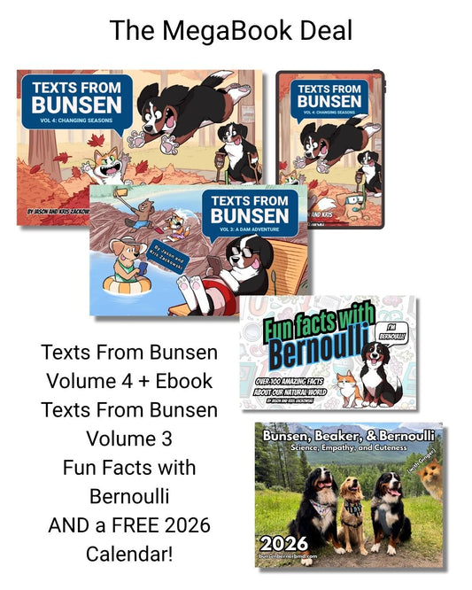 MEGABOOK DEAL with FREE 2026 CALENDAR!