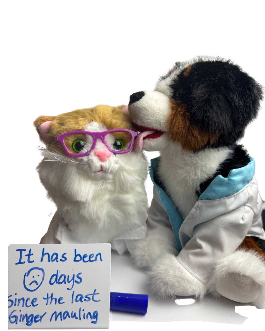 The MEGANOULLI PACK - Bernoulli plus Ginger, Beaker, and Bunsen!