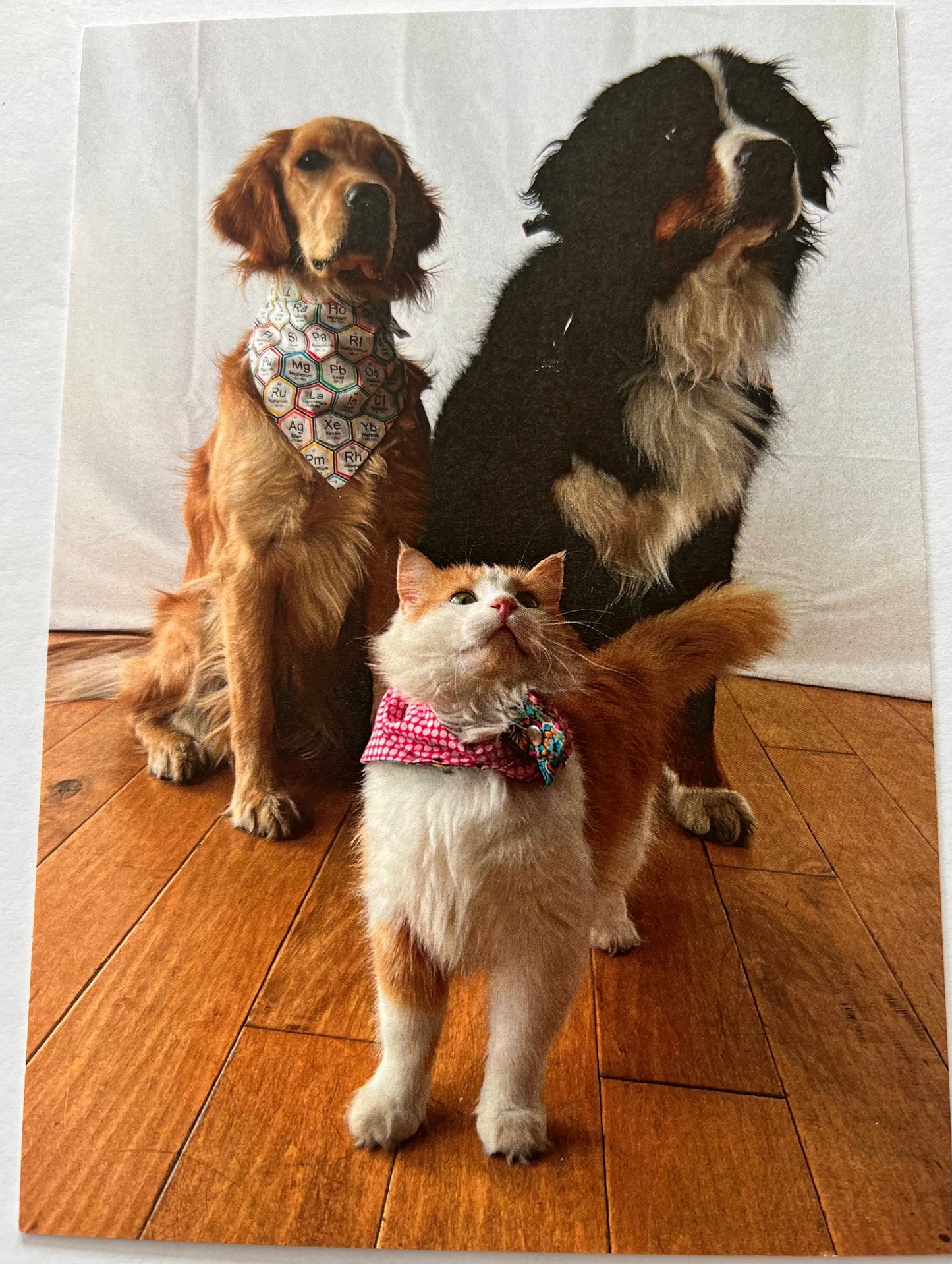 Post Card Mega Pack