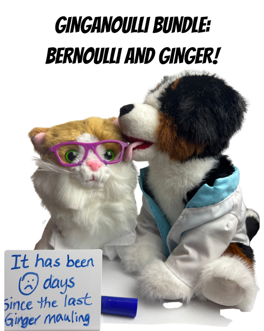The Ginganoulli Stuffie Combo - A Bernoulli and Ginger!!