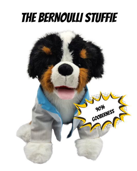 The Bernoulli Stuffie!  Ready to Ship NOW