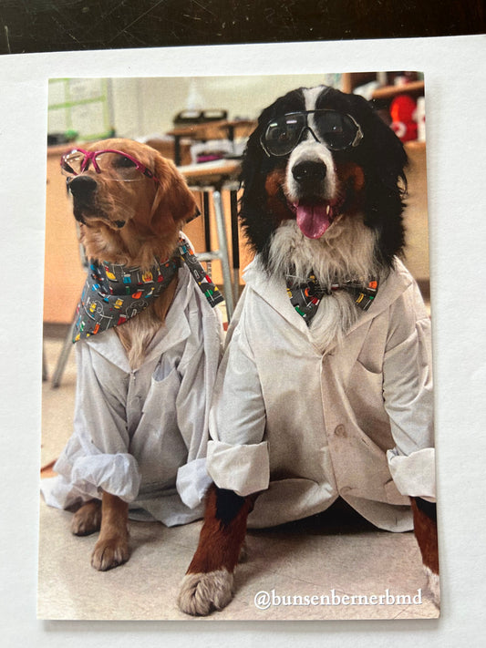 Bunsen and Beaker Postcard
