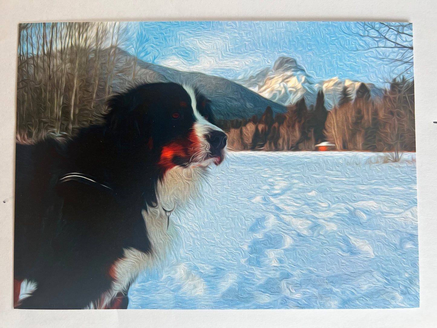 Fancy Bunsen Postcard