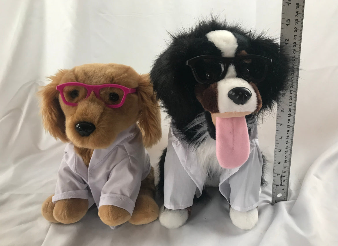 Do Science With Bunsen!  (Stuffie and Science Book!)