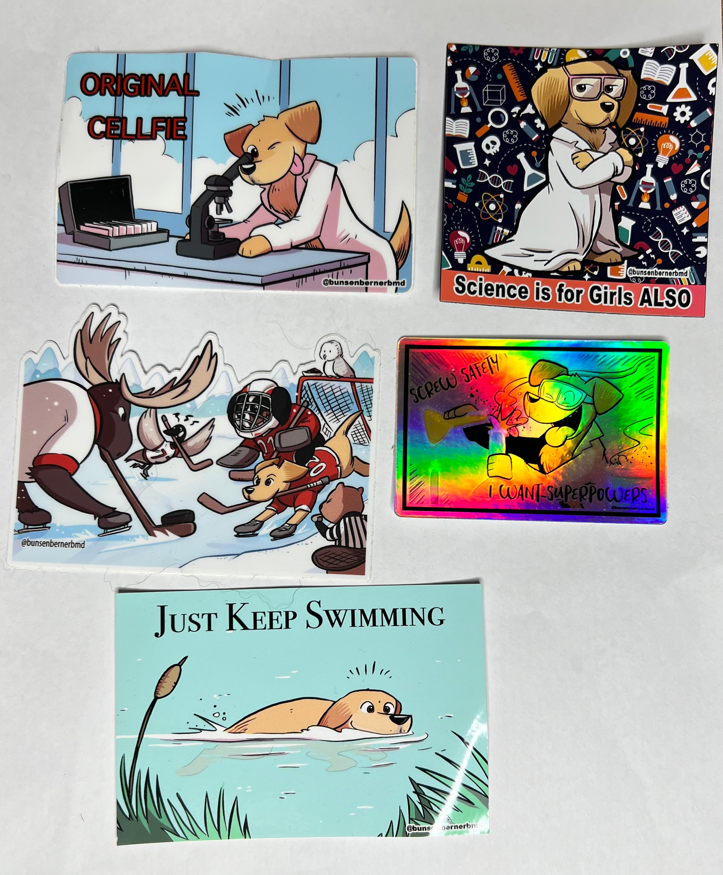 The Science is for girls ALSO Fun Pack