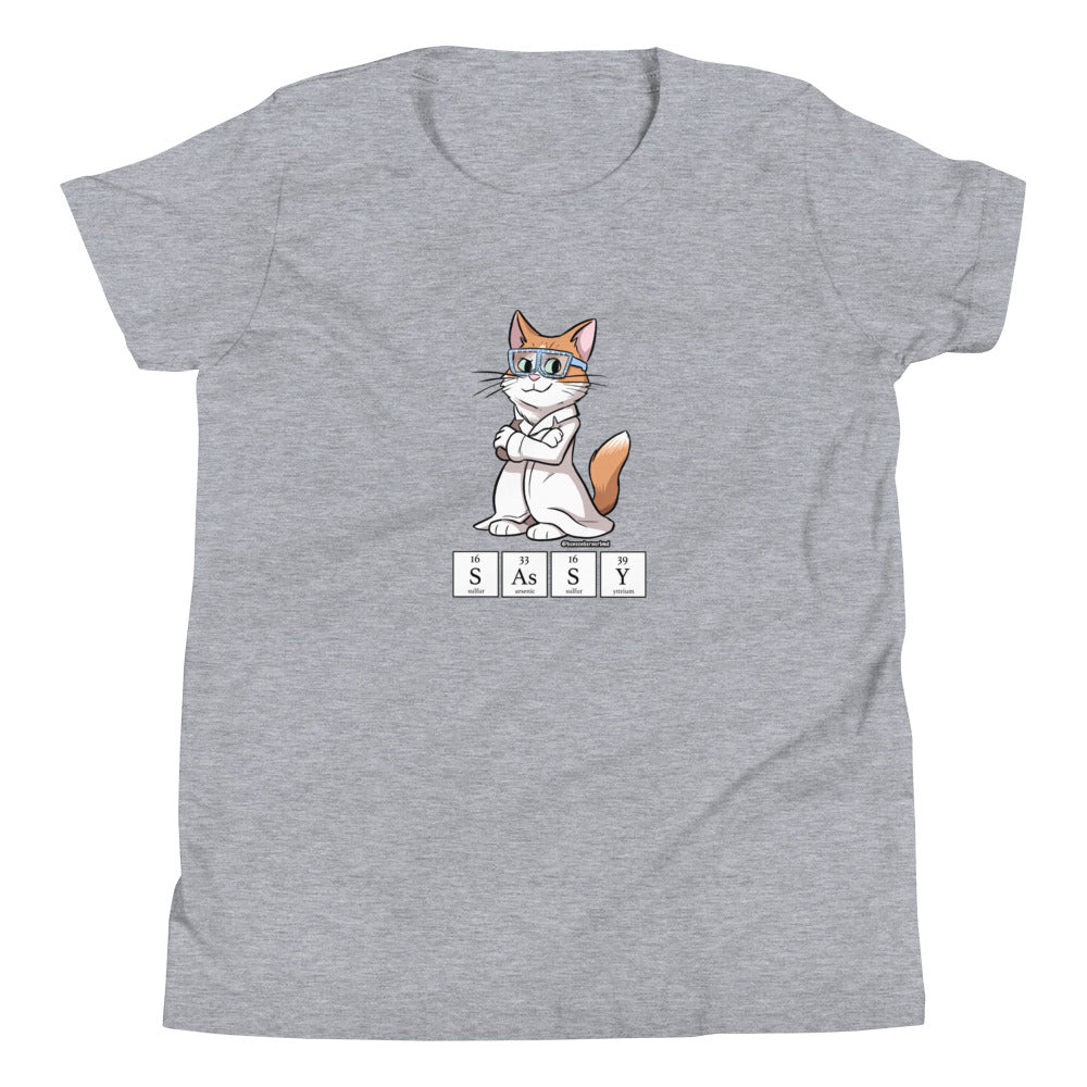 Youth Short Sleeve T-Shirt- SASSY!