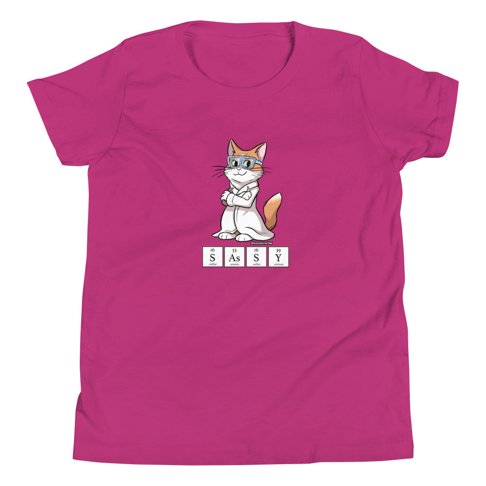 Youth Short Sleeve T-Shirt- SASSY!