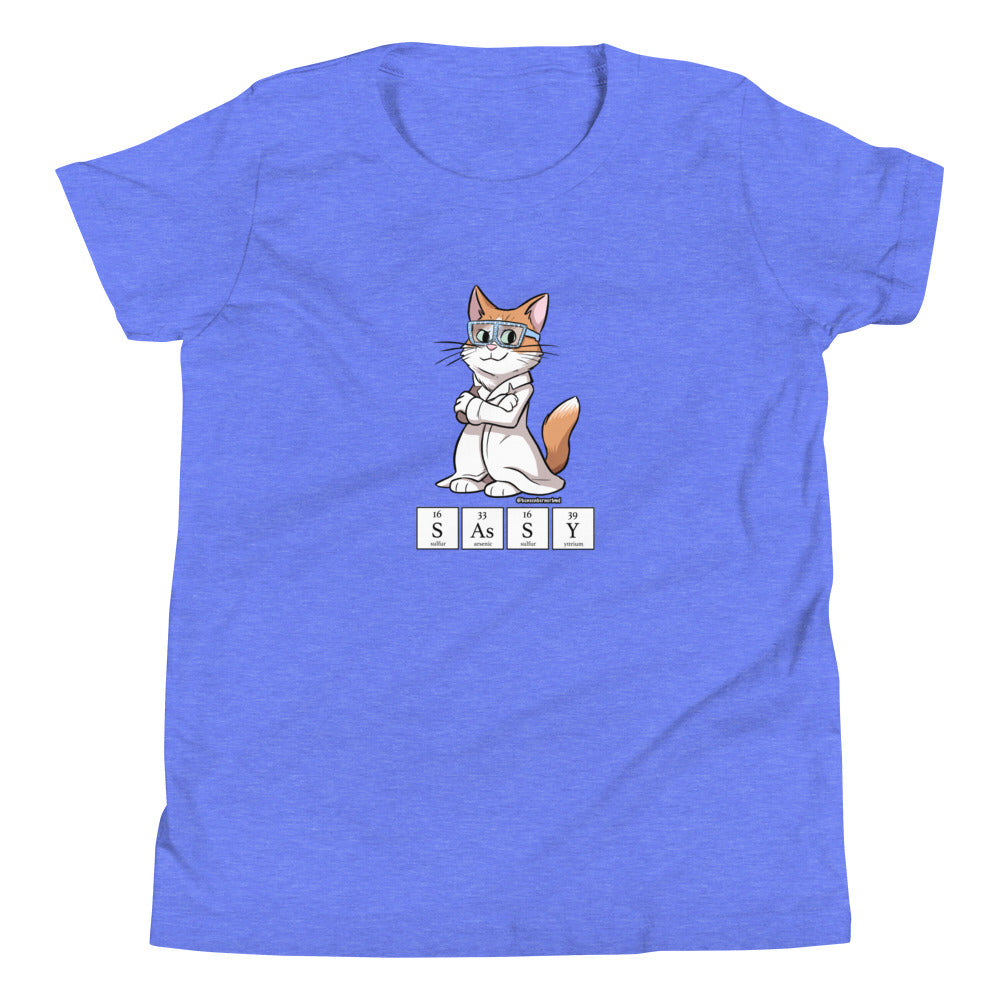 Youth Short Sleeve T-Shirt- SASSY!