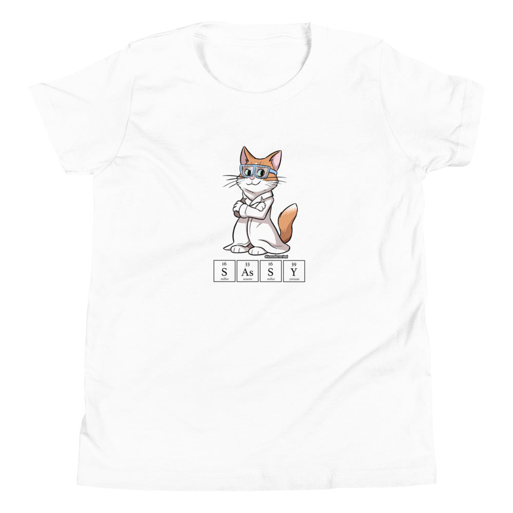 Youth Short Sleeve T-Shirt- SASSY!