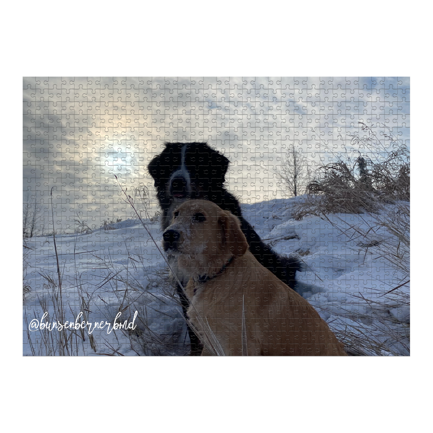 Snowy Buns and Beaks 500 Piece Puzzle