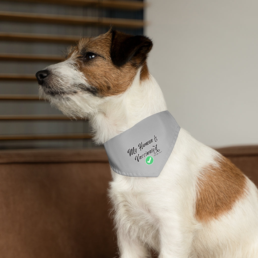Pet Bandana Collar: My Human is Vaccinated (Grey)