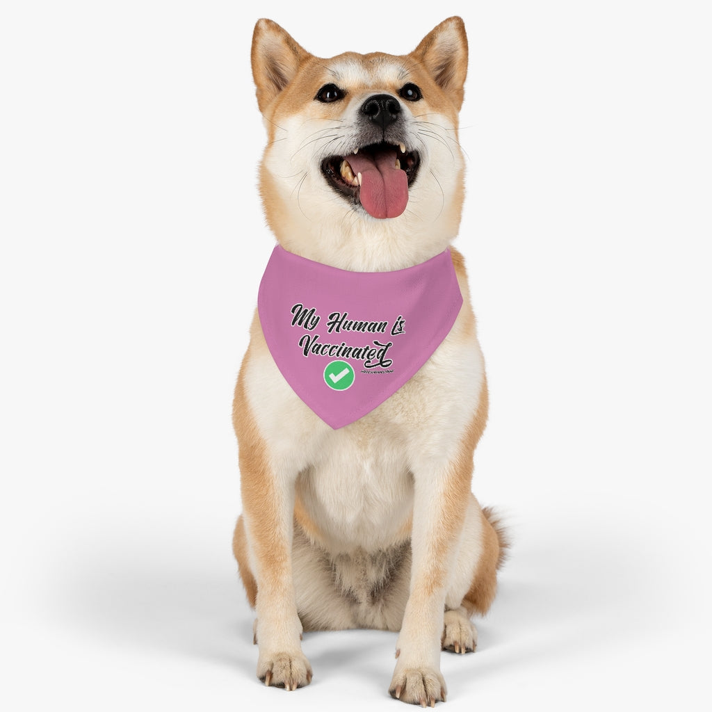 Pet Bandana Collar: My Human is Vaccinated (Pink)