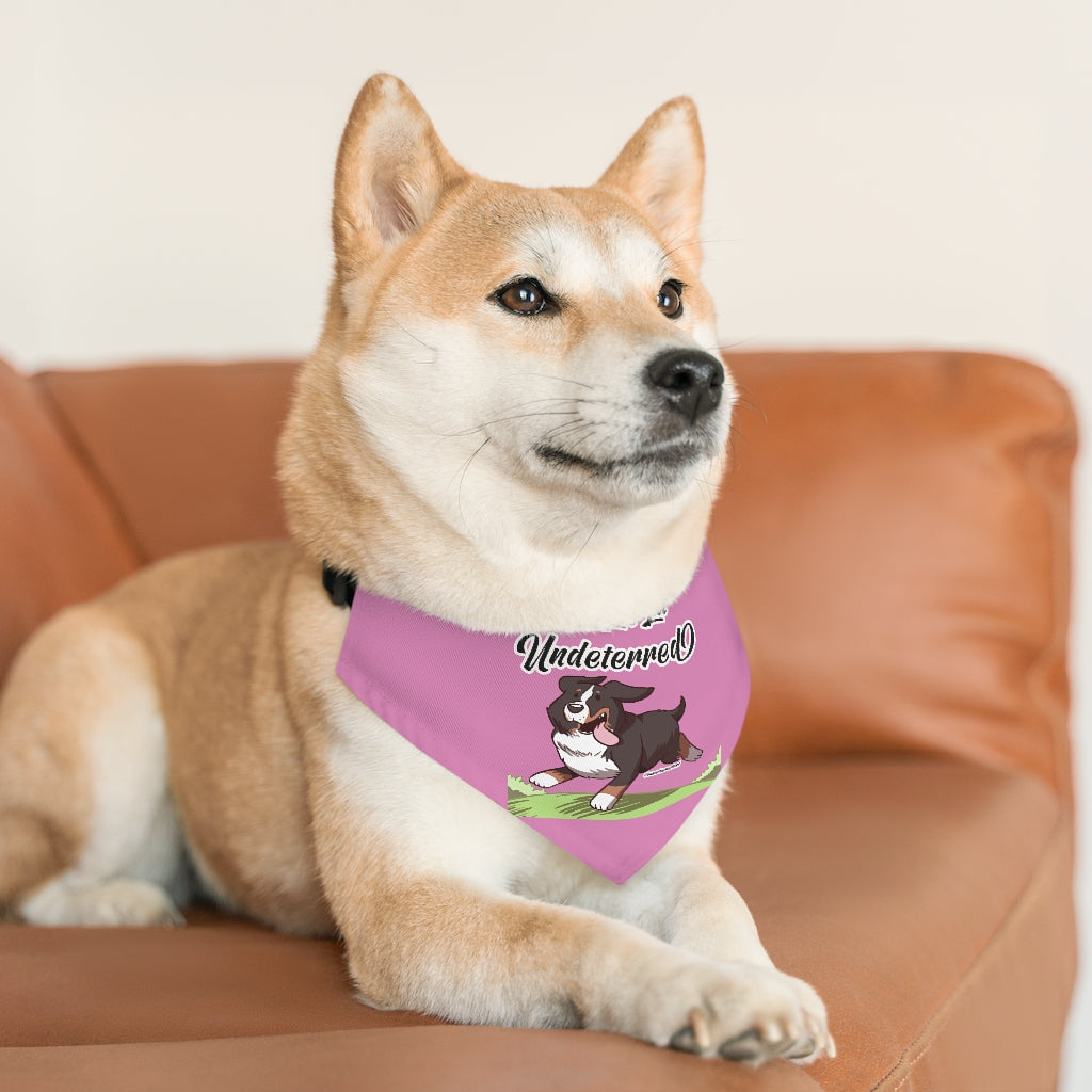 Pet Bandana Collar: La, La, La Undeterred (Pink)