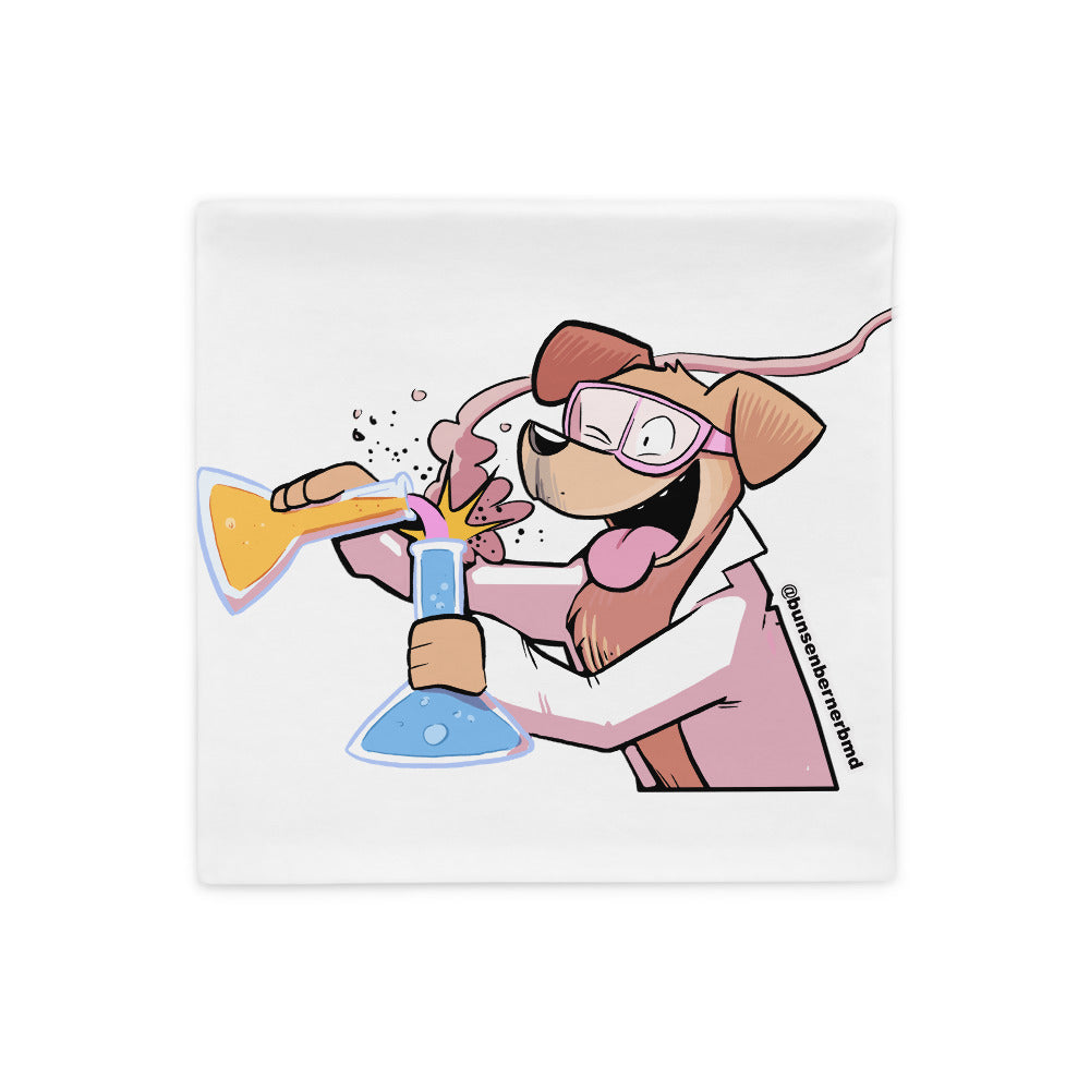Pillow Case: Beakering