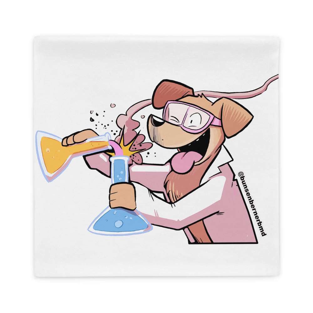 Pillow Case: Beakering
