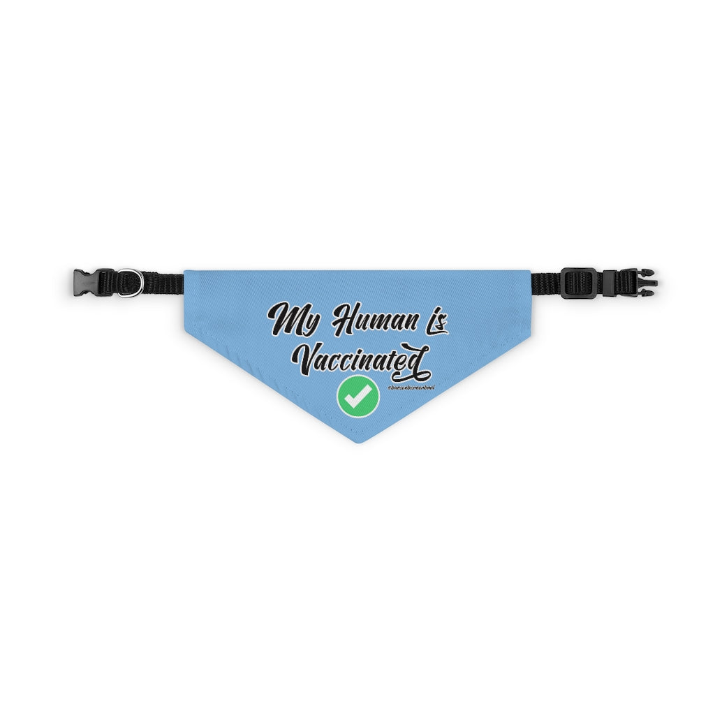 Pet Bandana Collar: My Human is Vaccinated (Blue)