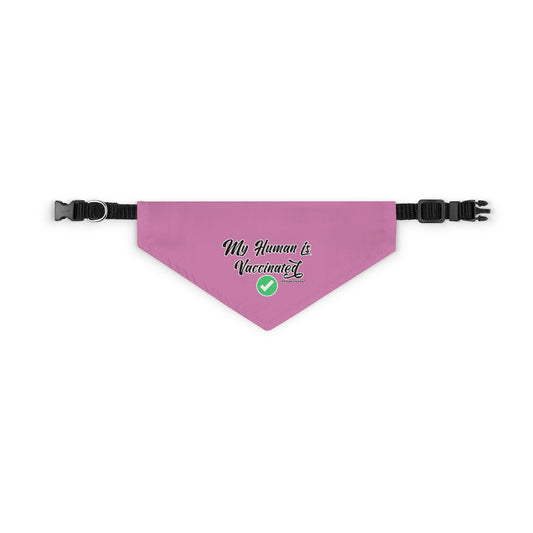 Pet Bandana Collar: My Human is Vaccinated (Pink)