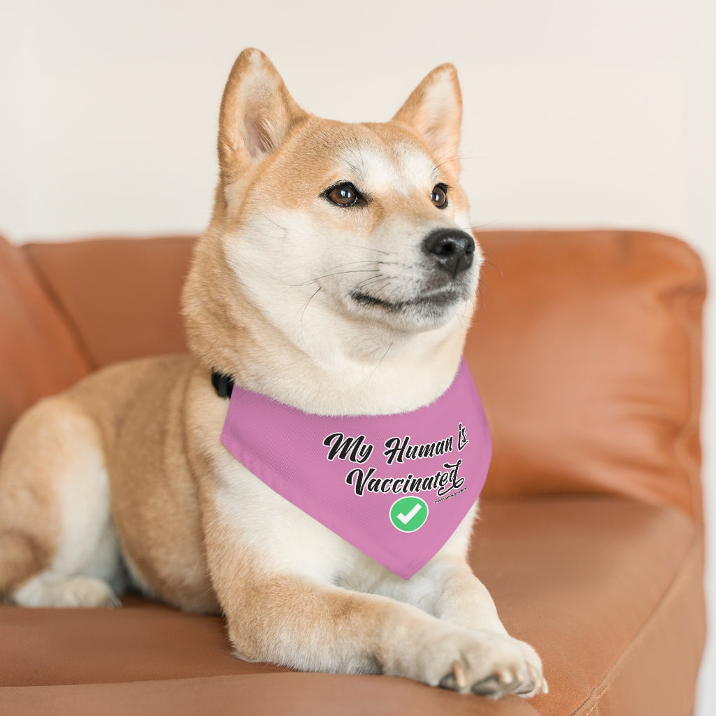 Pet Bandana Collar: My Human is Vaccinated (Pink)