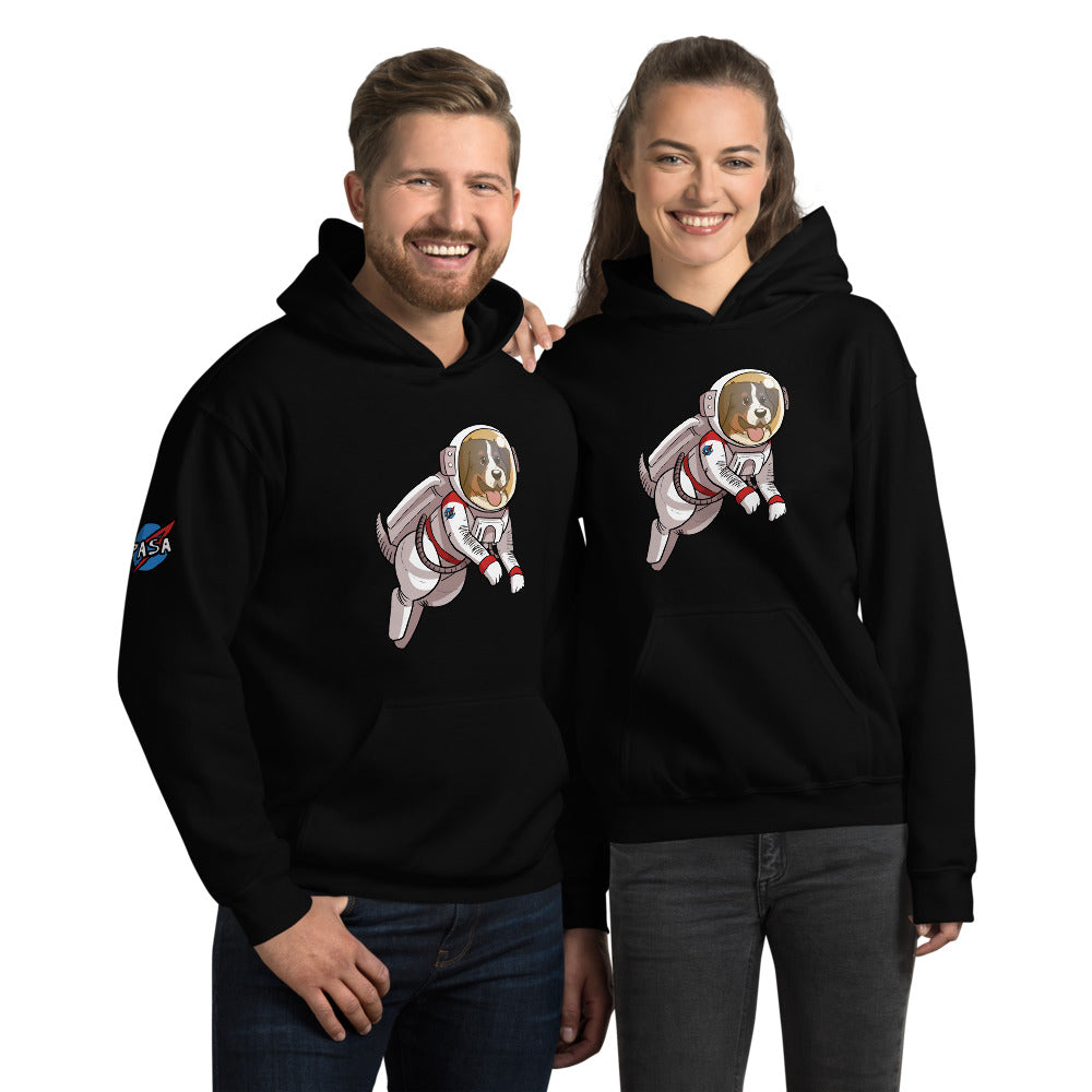 Unisex Hoodie- Space Bunsen with PASA logo on the shoulder!