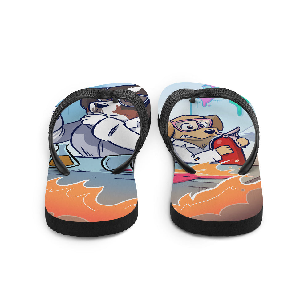 Flip-Flops- Mad Science
