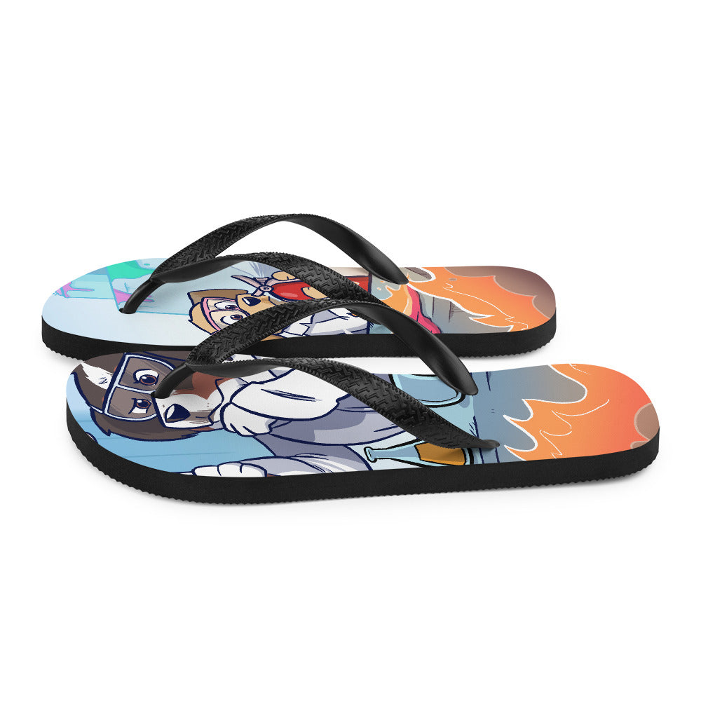 Flip-Flops- Mad Science