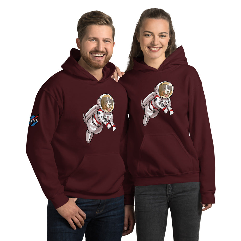 Unisex Hoodie- Space Bunsen with PASA logo on the shoulder!