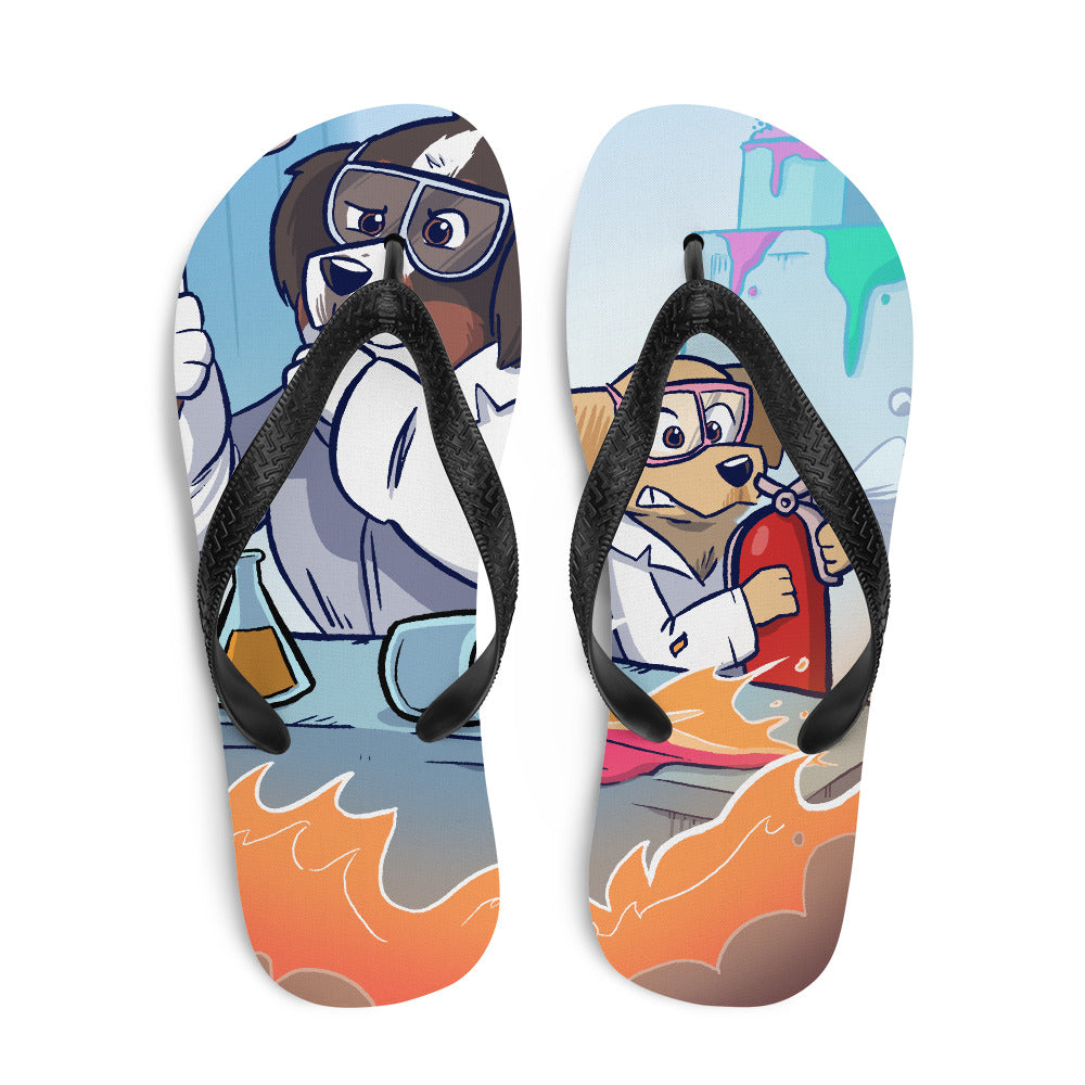Flip-Flops- Mad Science