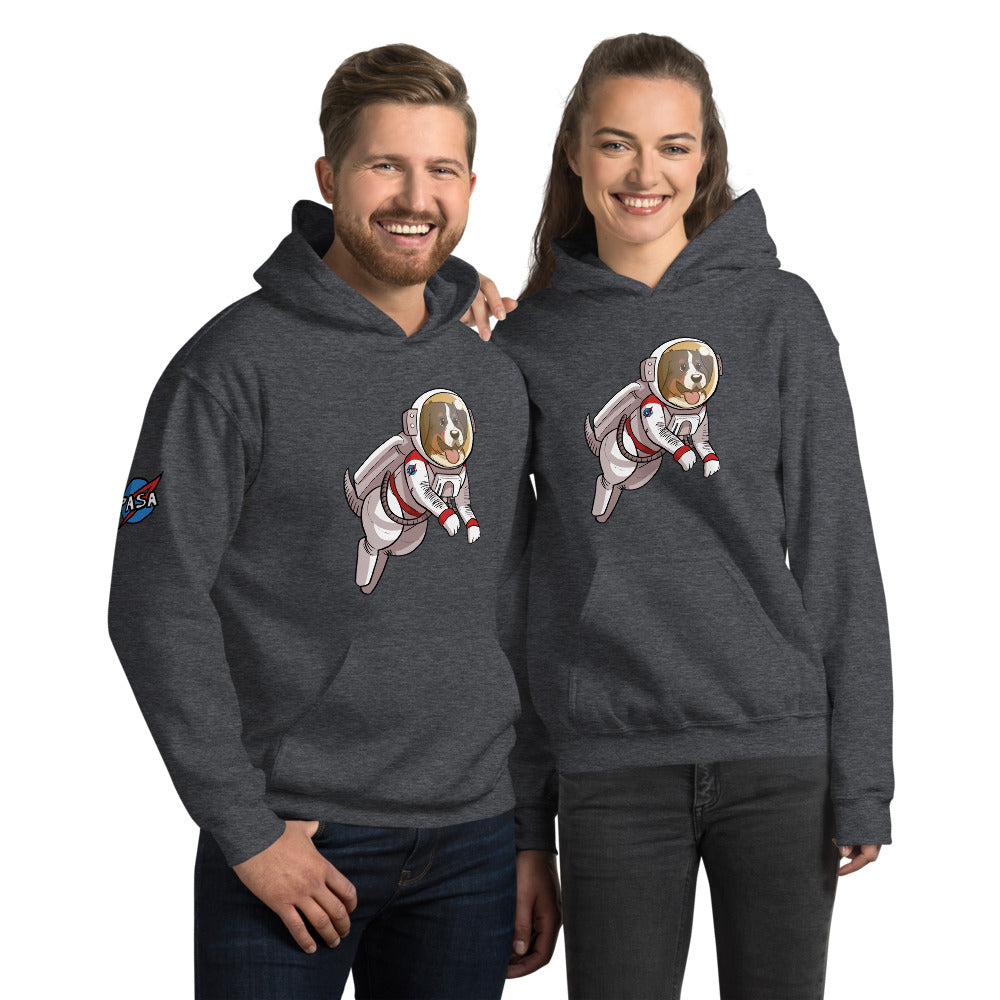Unisex Hoodie- Space Bunsen with PASA logo on the shoulder!