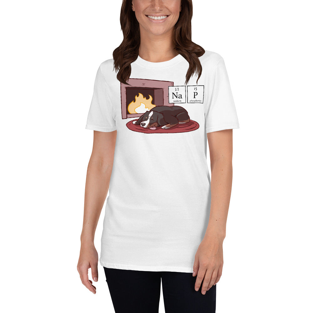 Short-Sleeve Unisex T-Shirt- NAP (high logo)