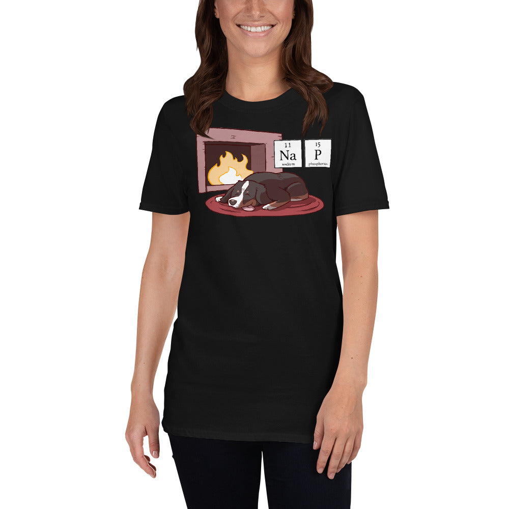 Short-Sleeve Unisex T-Shirt- NAP (high logo)