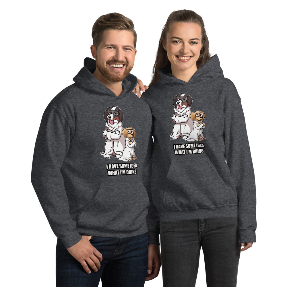 Unisex Hoodie: Bunsen and Beaker I have Some Idea