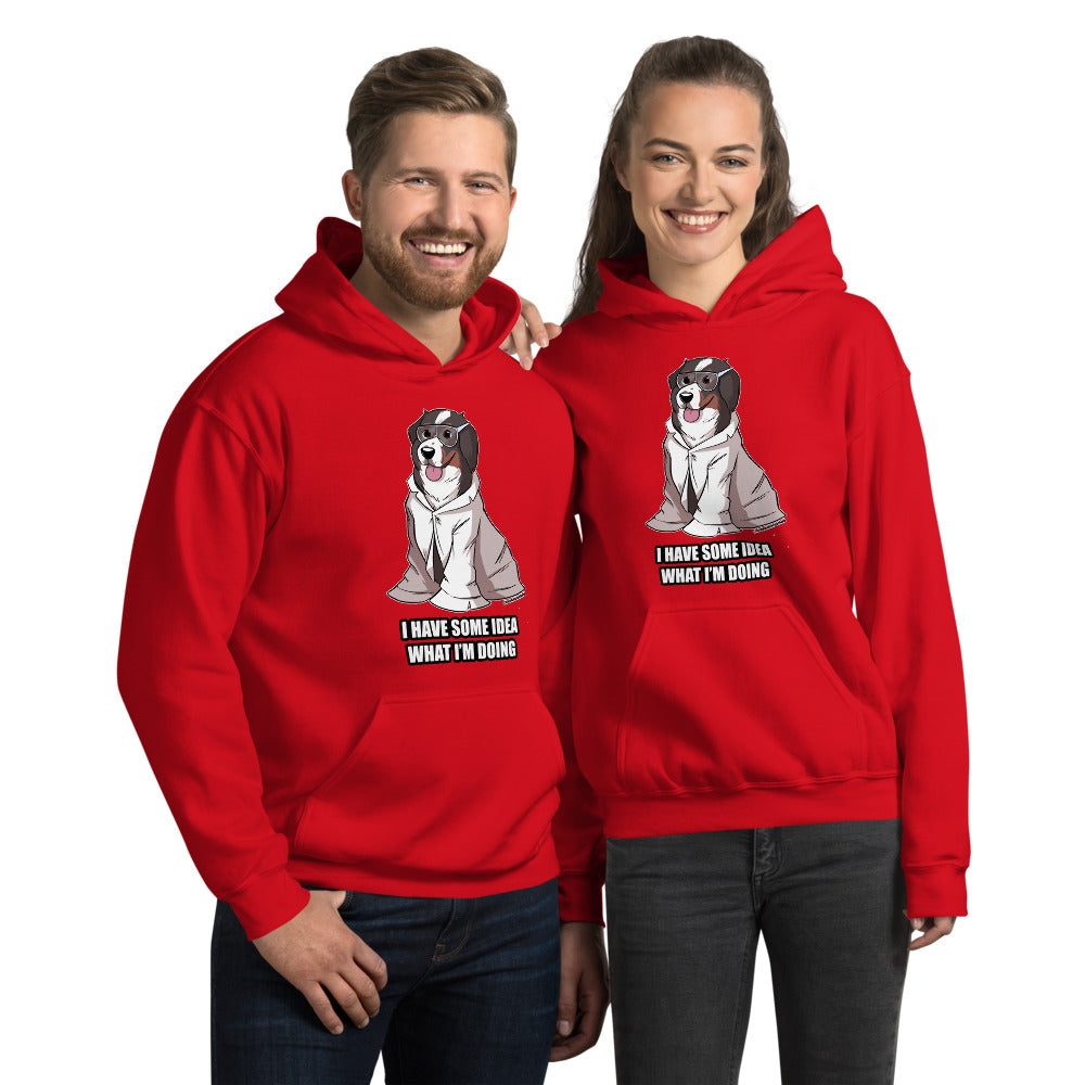 Unisex Hoodie: I have Some Idea