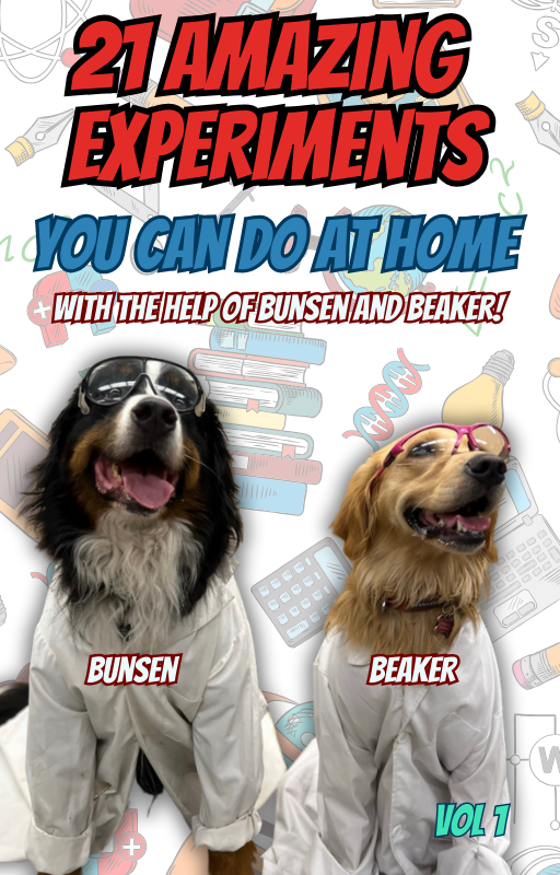 The Bunsen and Beaker Experiment Book Volume 1