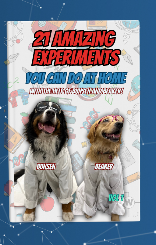 Do Science with Beaker! (stuffie and experiment book)