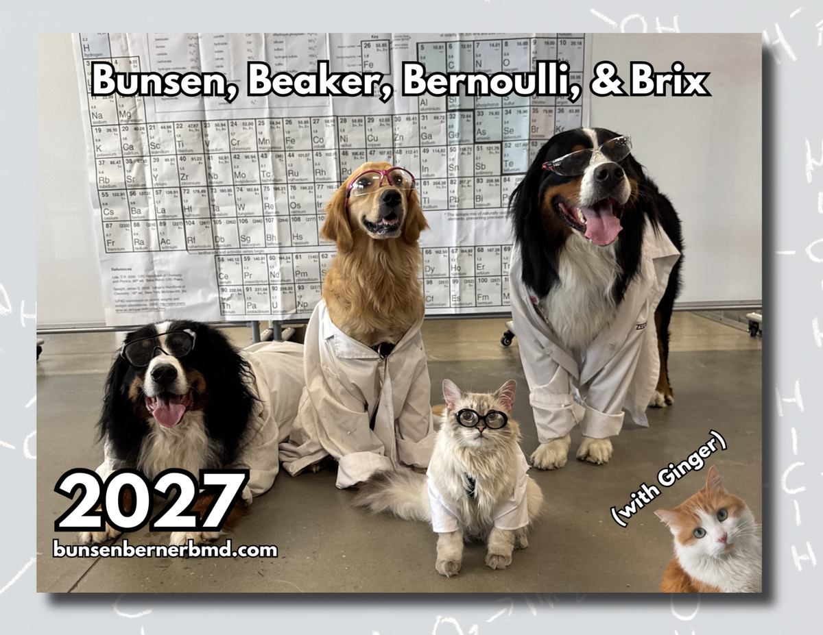 PRESALE: 2027 Bunsen, Beaker, Bernoulli, and Brix (with Ginger) 13 Month Wall Calendar