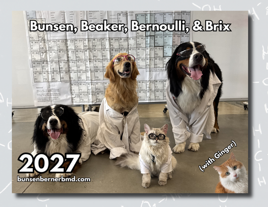 PRESALE: 2027 Bunsen, Beaker, Bernoulli, and Brix (with Ginger) 13 Month Wall Calendar