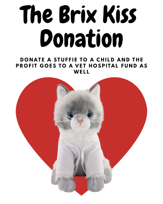 Brix Kiss Stuffie Donation