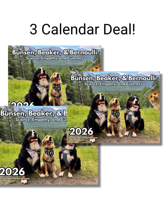 2026 Wall Calendar 3 Pack Pre-Sale (get 1 50% off!)
