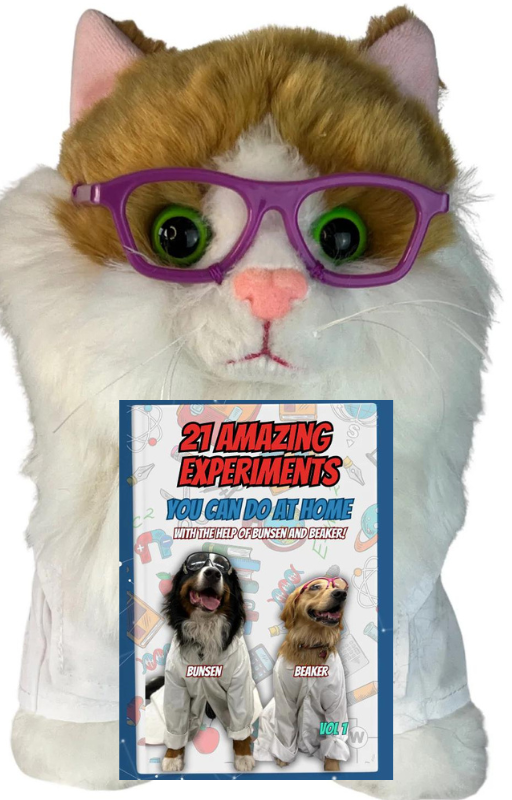 Do Science with Ginger! (Stuffie and Experiment book!)