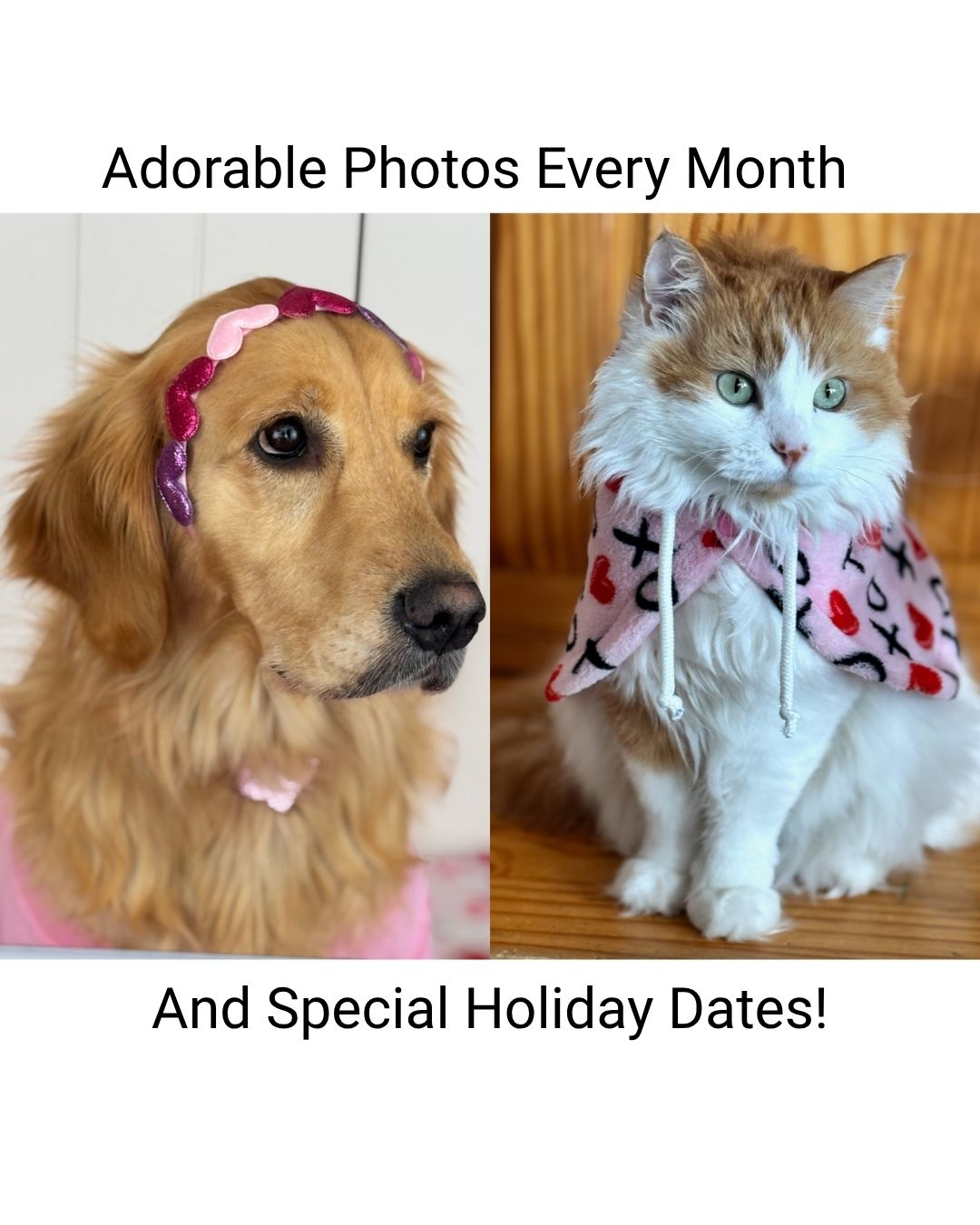 MEGABOOK DEAL with FREE 2026 CALENDAR!
