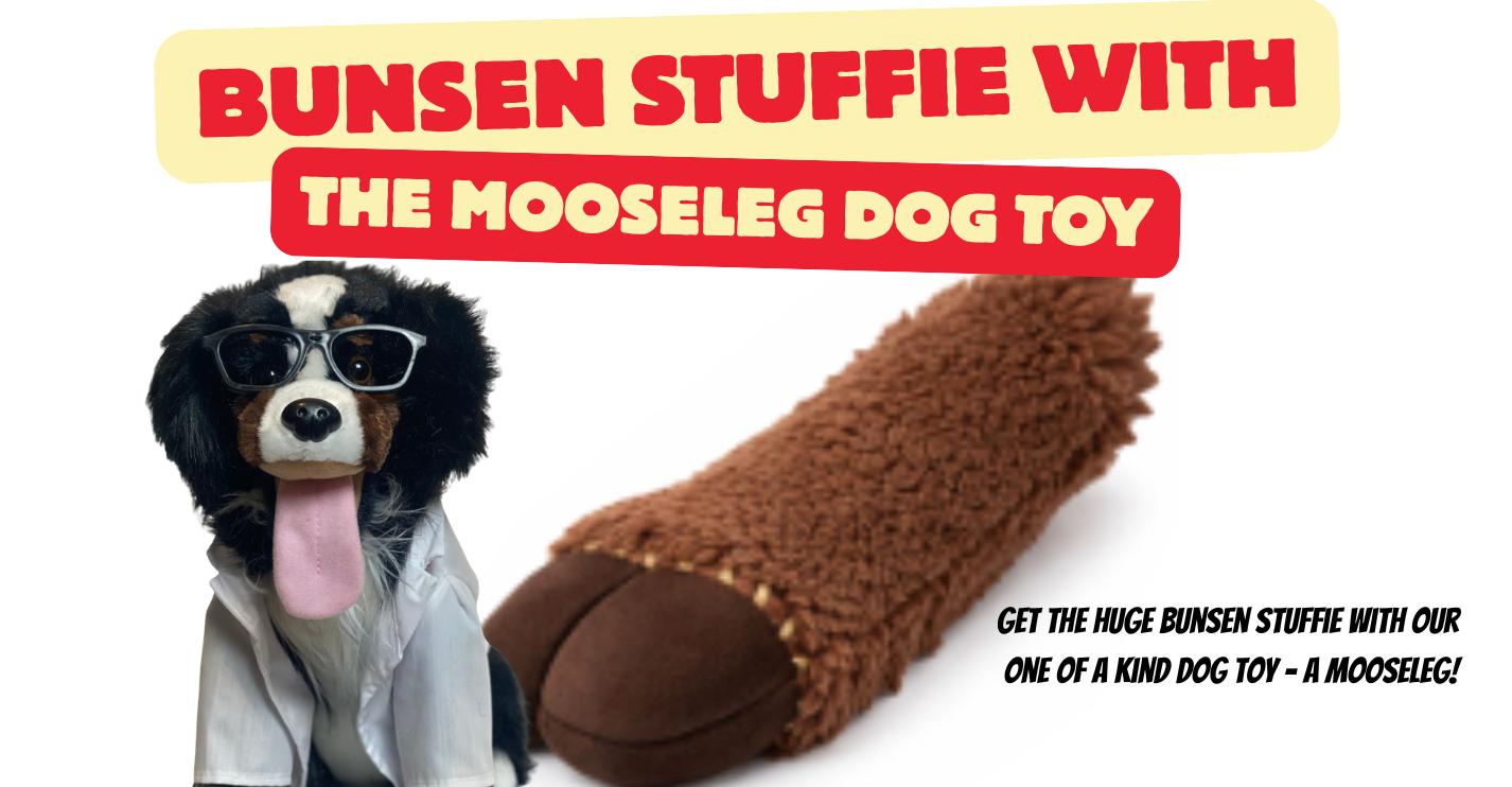 The Bunsen's Mooseleg Dog Toy AND a Bunsen Stuffie!