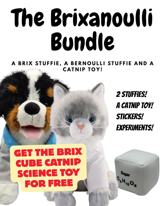 The BRIXANOULLI BUNDLE (FREE BRIX SUGAR CUBE!) Save 25% on a Bernoulli!