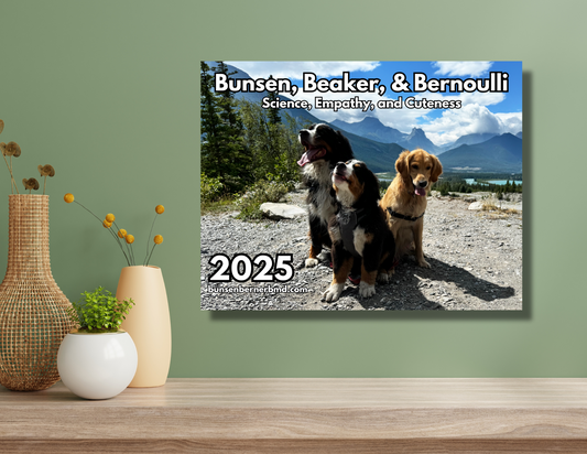 2025 Bunsen, Beaker and Bernoulli Calendar!