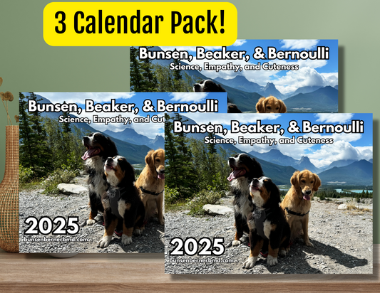 2025 Bunsen, Beaker and Bernoulli Calendar 3-pack!